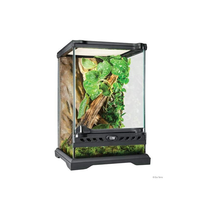 Exo Terra Nano Tall - Terrario de cristal 20x20x30cm
