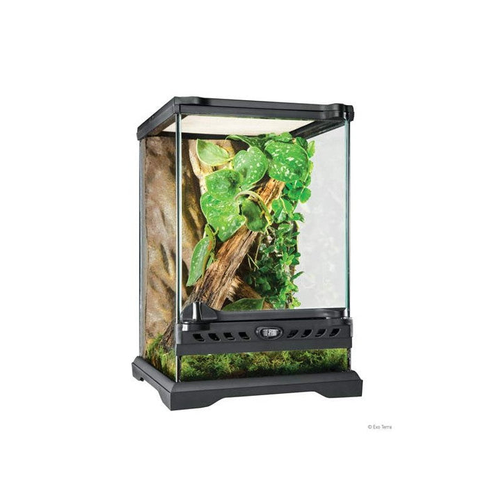 Exo Terra Nano Tall - Terrario de cristal 20x20x30cm