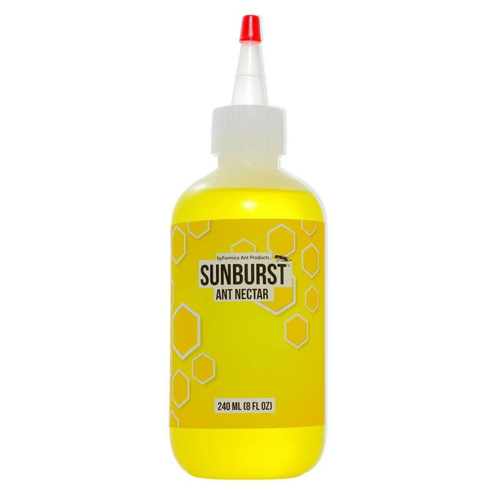Sunburst byFormica - Néctar Premium para Hormigas | Ant Dimension